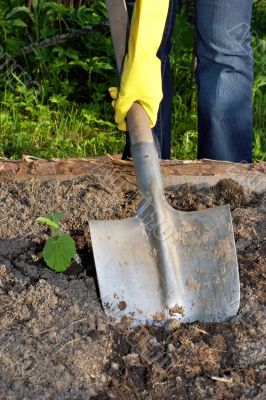 digging by shovel