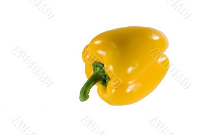 Yellow paprika on white background