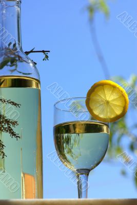 White wine of the alentejo