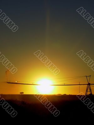 irrigated field