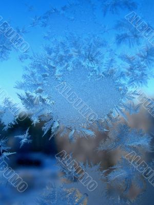 Winter natural snowflake