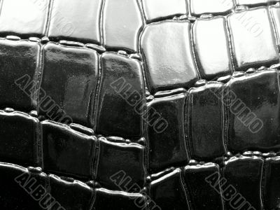 Crocodile leather