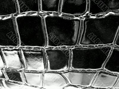 Black crocodile leather