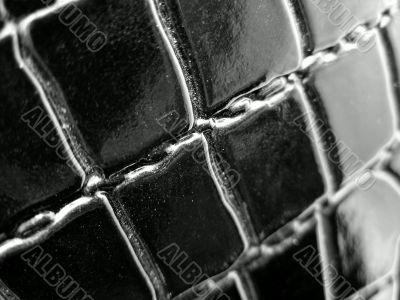 Black crocodile leather