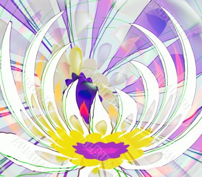 Lilac abstraction flower