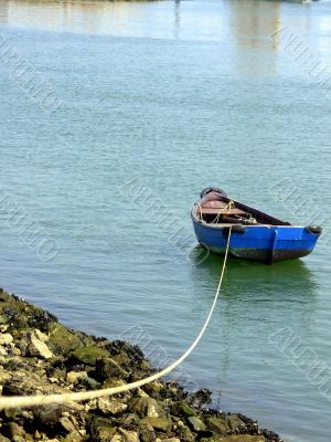 Cockle-Boat Of Fishes