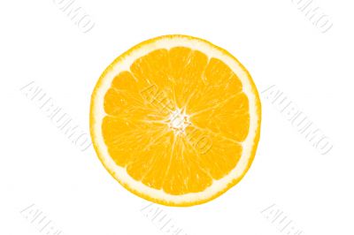 Slice of orange