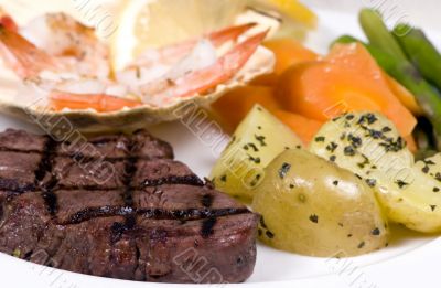Tenderloin Steak 005