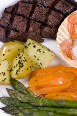 Tenderloin Steak 004