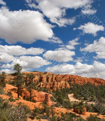 Colors of the ground.