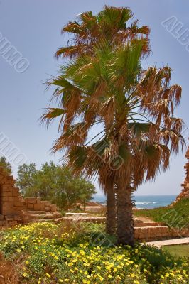 Palm trees and flowers.