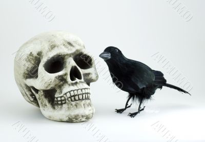 skull and black crow