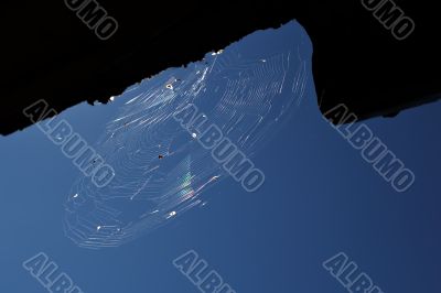 web