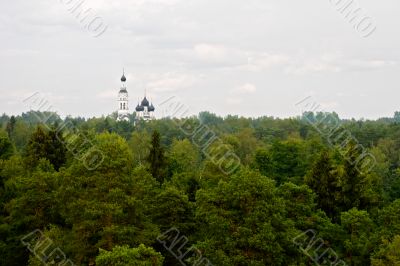 church in forest