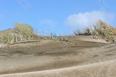 Sand Dunes