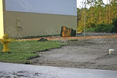 new home new yard