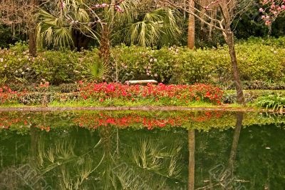 garden reflections