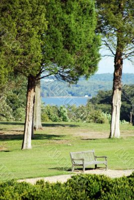 vacant bench with grass tress and water