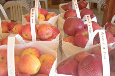 bagged apples