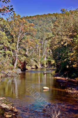 mountain trout stream