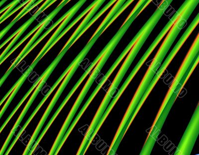 Palm Leaves