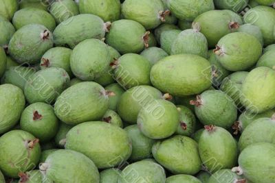 Feijoas  Pineapple Guava