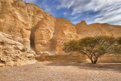 Ancient walls of a canyon