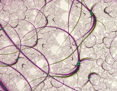 Purple Curves