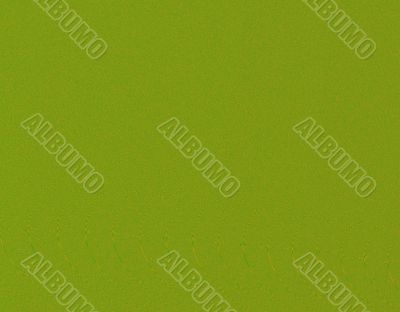 Green Silk