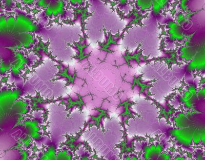 Violets