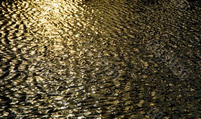Water Reflections