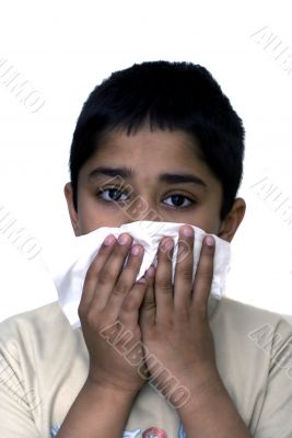Allergy