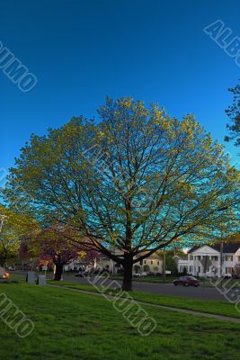 Spring Time