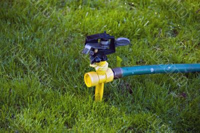Sprinkler