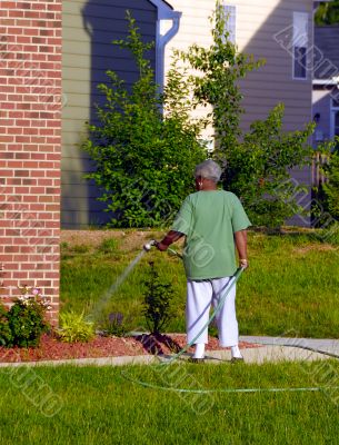 Watering Lawn