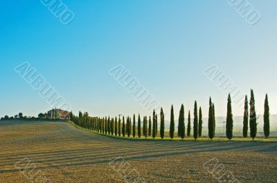 tuscan landscape