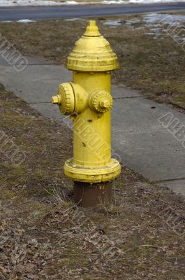 Fire Hydrant