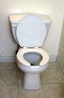 Toilet Bowl