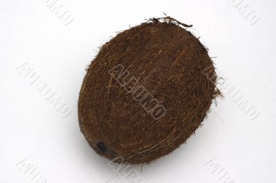 Coconut