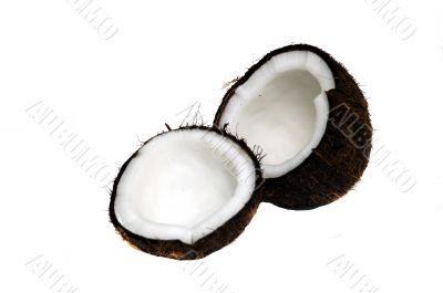 Coconut