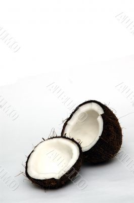 Coconut
