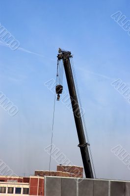 Crane