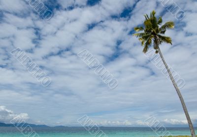 tropical background with space for text