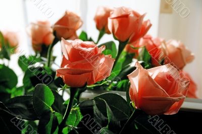 roses