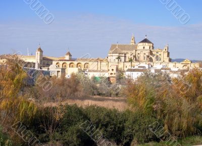 mezquita cathedral in córdoba