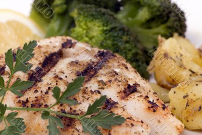 Red Snapper Dinner