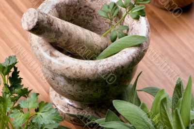 Herbs 017