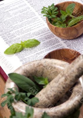 Herbs 019