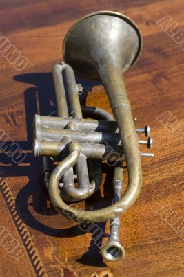 Old Trumpet