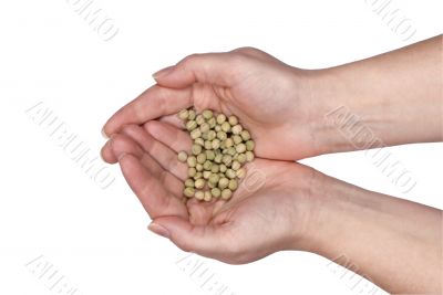 Two hands holding seeds